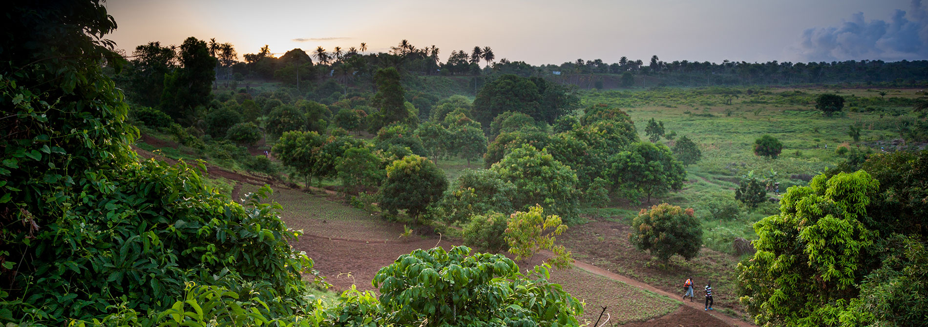 1,3 MWp Solar Off-Grid Mini Grids versorgen 6.657 Haushalte mit Strom in Sierra Leone  - Mittwoch, 07.07.2021