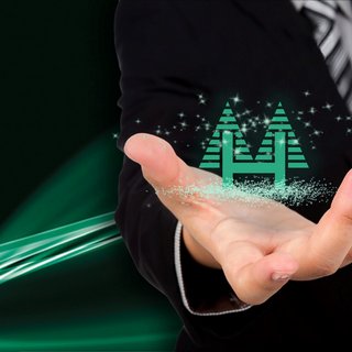又到江南春好日，荷您相约恰当时 - learn more